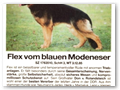 Flex vom Blauen Modeneser